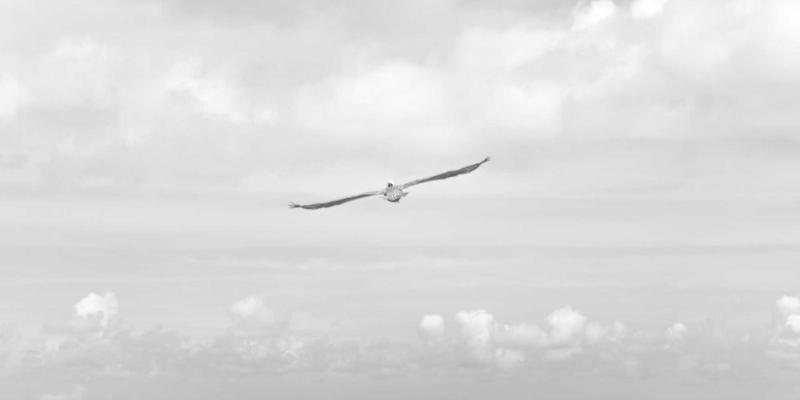 Wi-Fi 7核心技术深度剖析:多链路操作与4096-QAM如何重塑企业级网络与后端服务