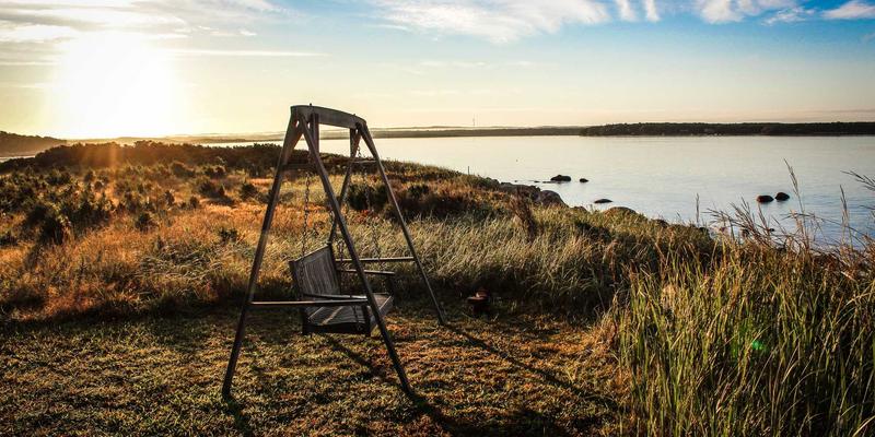 从Linux内核到前端请求:Envoy扩展开发与性能优化实战指南