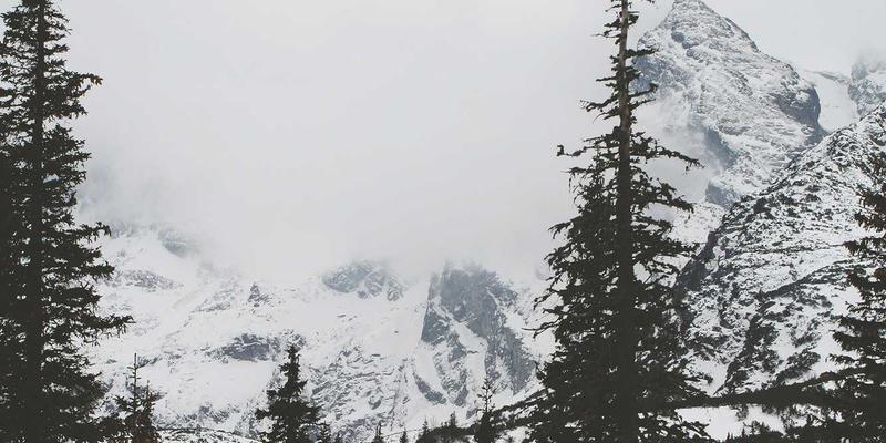 从软件定义到硬件卸载:超融合网络架构深度优化实战指南