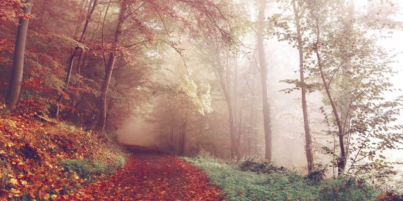 揭秘NFV：如何通过资源分享与Linux技术为运营商节省亿万成本